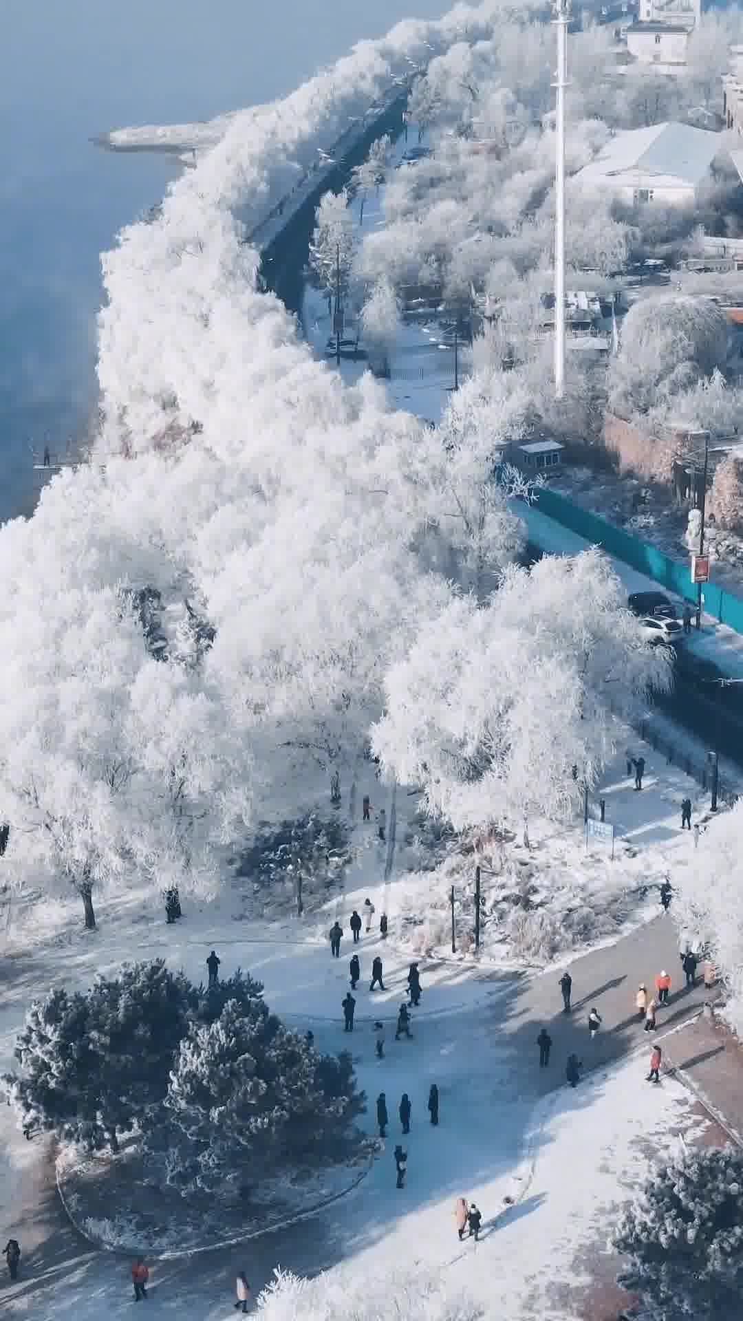 探索吉林之美，成为吉林旅游达人的秘籍指南