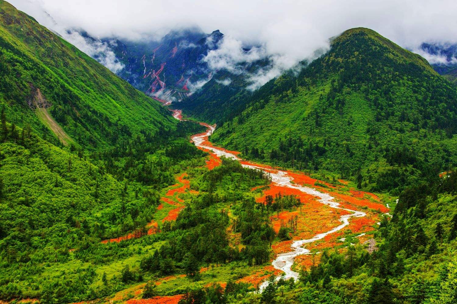四川,四川，这片神奇的土地，历史悠久，文化灿烂，美食飘香，美景如画。今天，就让我带你走进四川，感受这片土地的独特魅力。