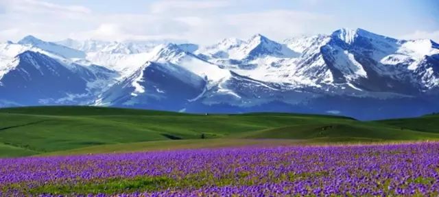 新疆小巷深处，心动特色小店探秘