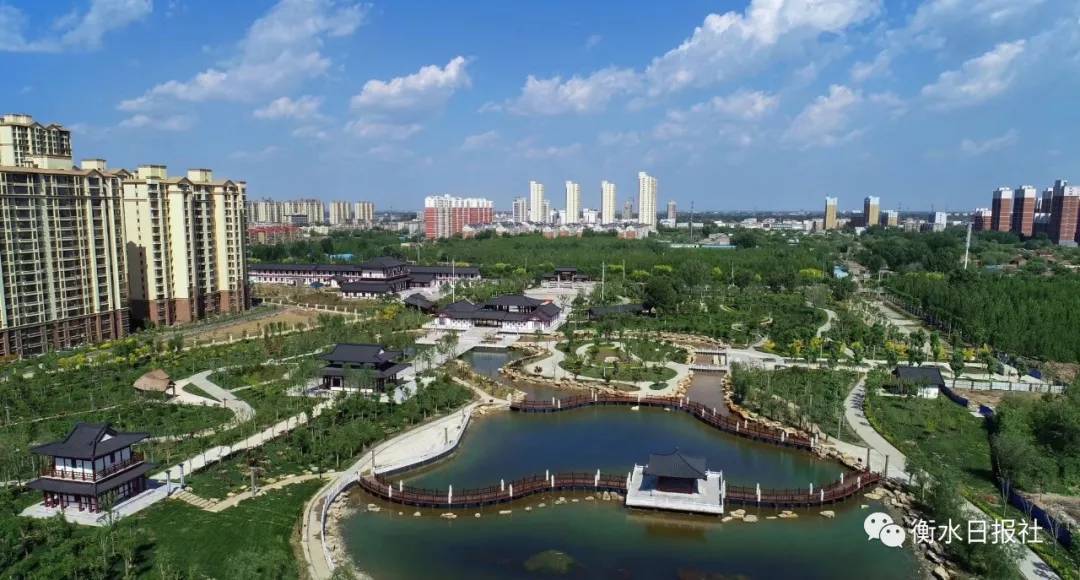 衡水任务与学习技能指南，初学者到进阶用户的详细步骤手册